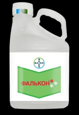 Фалькон